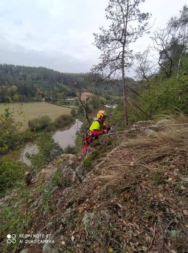 Lesnické služby