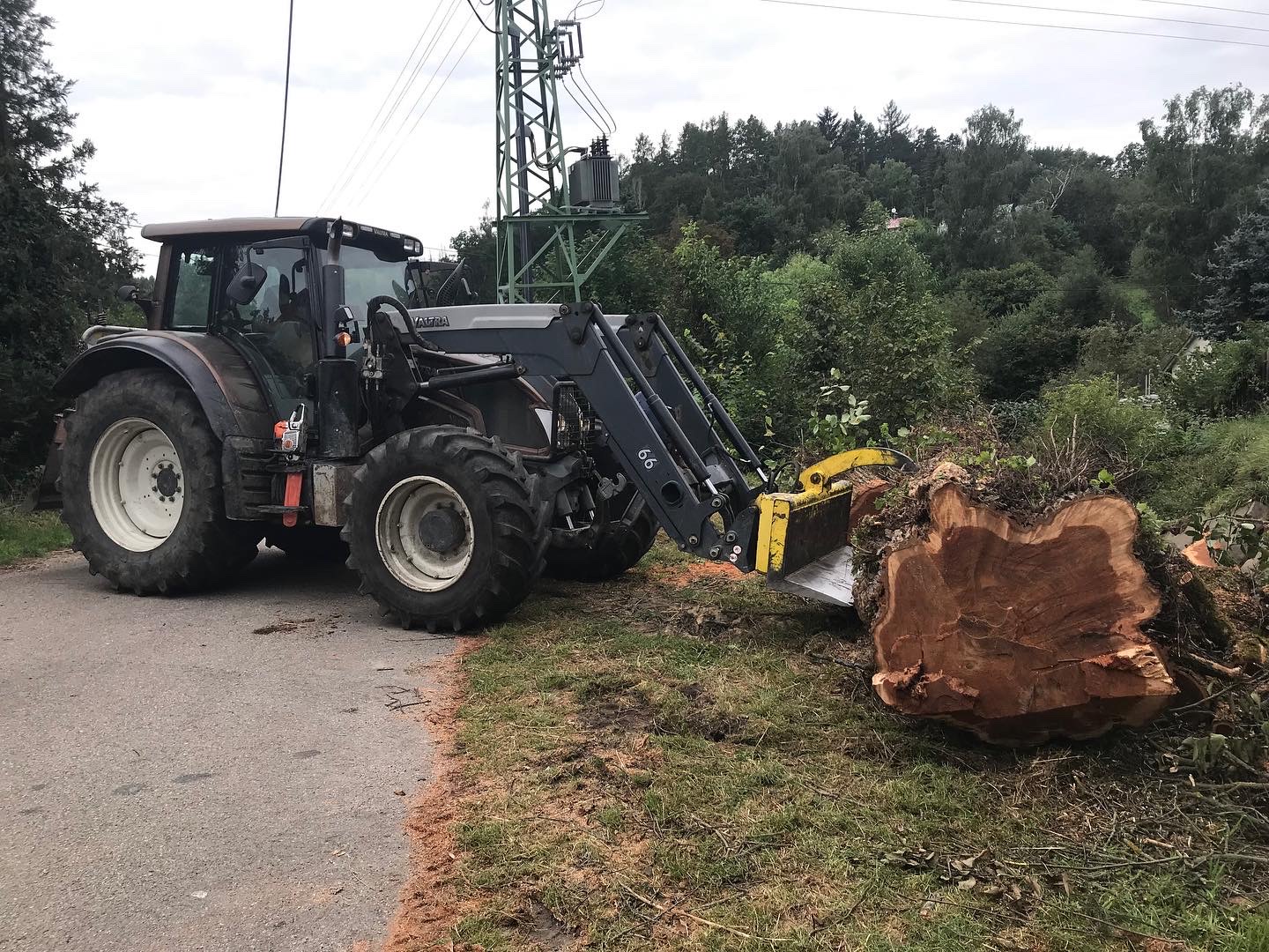 Lesnické služby